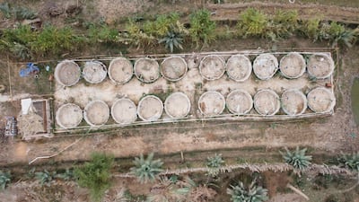 A dried-up fish pond on the Euphrates