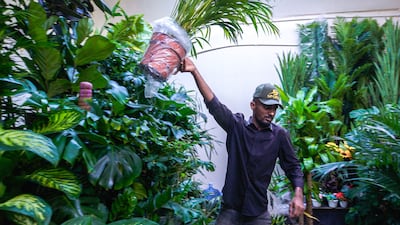 A gardener waters the plants at Shuweihat Landscaping and Plants