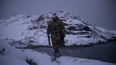 The area is where whales come to hunt herring