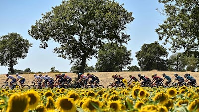 The peloton during Stage 15. AFP