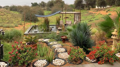 The koi pond offers a place to drink in the surroundings