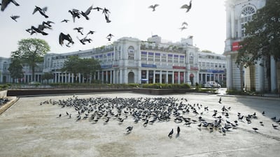 A flock of pigeons in shopping hub Connaught Place in Delhi. Getty