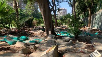 Space between the diminutive plots is limited and demand from pet owners has led to overcrowding. Hamza Hendawi / The National