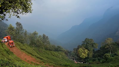 Fire trucks are parked near the crash site. AFP