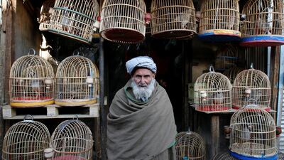 An Afghan man looks on as he stands at a bird market in Kabul. Mohammad Ismail / Reuters