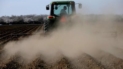 A tractor plows a field where almond trees have once been planted to. Justin Sullivan / Getty Images / AFP
