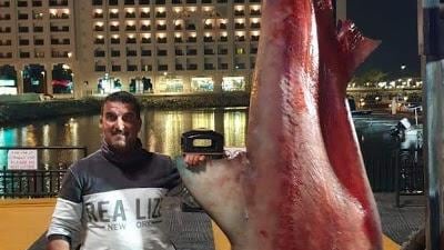 Eid Suleiman, pictured with the Bull shark. Courtesy: Eid Suleiman