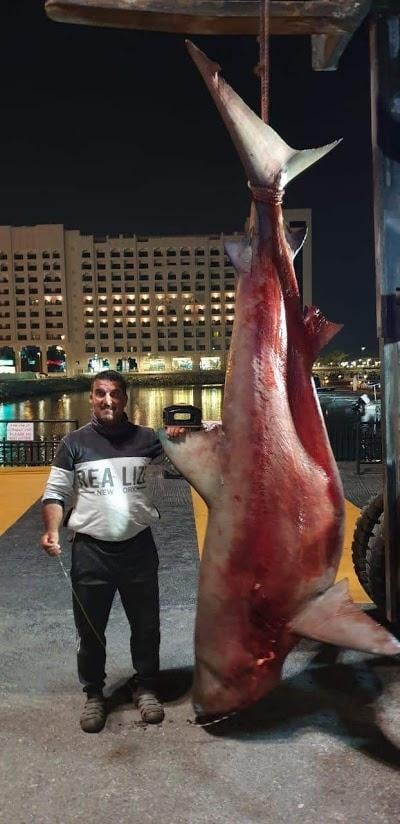 Eid Suleiman, pictured with the Bull shark. Courtesy: Eid Suleiman