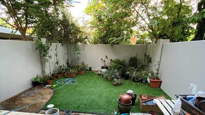 In the process of transforming his backyard