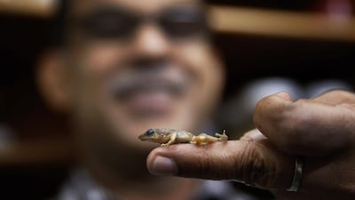 A file photo of professor Sathyabhama Das Biju from the University of Delhi, a lead scientist of a project that has discovered 14 new species of so-called dancing frogs in southern India’s lush mountain range called the Western Ghats, which stretches 1,600 kilometres from the west state of Maharashtra down to the country’s southern tip. Saurabh Das/ AP Photo