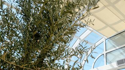 Brunch & Cake in Abu Dhabi is open during the day. Photo: Brunch & Cake