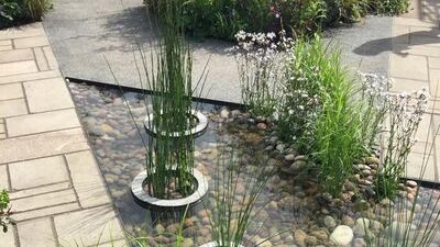 RHS Greening Grey Britain. Courtesy RHS Chelsea Flower Show