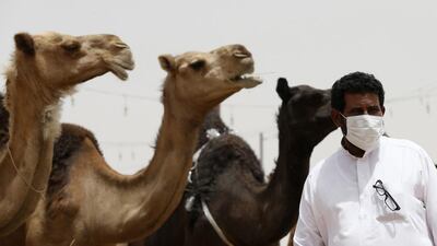 A man wearing a mask looks on as he stands in front of camels at a camel market in the village of al-Thamama near Riyadh. Saudi Arabia said people handling camels should wear masks and gloves to prevent spreading Middle East Respiratory Syndrome. REUTERS/Faisal Al Nasser