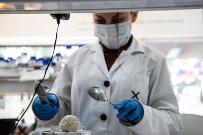 Plant-based products could soon be superseded by lab-grown alternatives. AFP