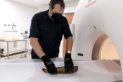 Mummified remains must be handled wearing protective clothing. Photo: EPA