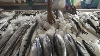 A day’s catch at Fujairah Fish Market, but overfishing has led to a massive depletion of stocks in the Arabian Gulf, and around the world, with 85 per cent of global fisheries over-exploited. Mona Al Marzooqi / The National