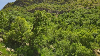 Qaradagh protected area. Photo: Korsh Ararat