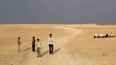 Children on a farm during harvest time in Raqqa governorate, eastern Syria, in May.