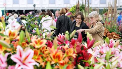 LONDON, ENGLAND - MAY 19: Woman look at flowers in the main pavillion at Chelsea Flower Show on May 19, 2009 in London, England. The internationally renowned horticultural show runs from May 19-23, showcasing the latest gardening trends including several 'Credit Crunch' gardens. (Photo by Dan Kitwood/Getty Images)
