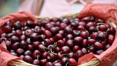 Freshly picked cherries are packed in boxes for sale at Cherry Day in the village of Hammana, southeast of Beirut, Lebanon. EPA