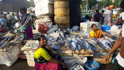 Women sell fish at Sassoon Docks market in Mumbai. Subhendu Sarkar / Getty Images)