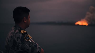A Navy officer standing on the HMAS Adelaide while a bushfire burns on the coast of Eden, NSW, Australia. Australian Department of Defence/ EPA