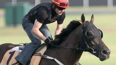 Krypton Factor during a training session at the Meydan Racecourse in Dubai. Jaime Puebla / The National