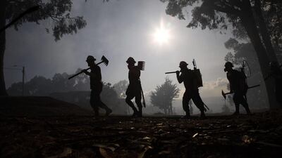 Soldiers arrive to help control a wildfire in a forest area on the mountains surrounding Bogota, Colombia. Fernando Vergara / AP Photo