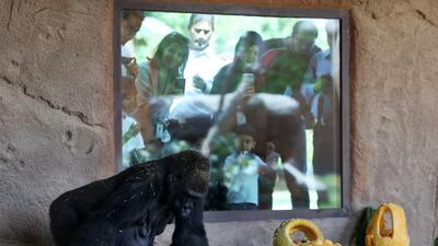 Pawan Singh / The National