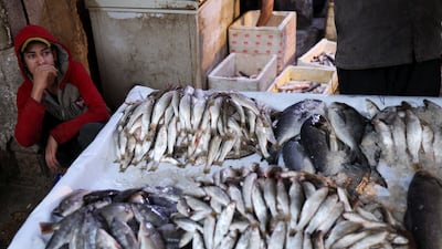 An Iraqi vendor shows different kinds of fish to customers at fish market at in Najaf, Iraq November 30, 2022. REUTERS / Alaa Al-Marjani
