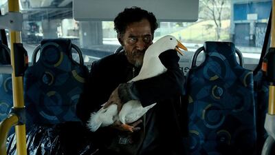 The Man Who Stole a Duck from Words with God directed by Hector Babenco.
