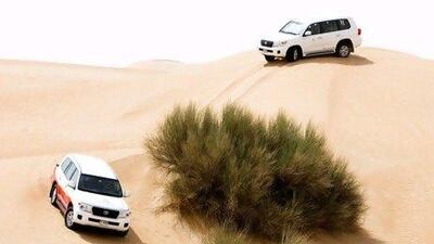 In the winter months, Arabian Adventures typically takes about 600 customers into the desert each day for dune bashing, dining, stargazing or animal tracking. Jaime Puebla / The National Newspaper