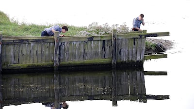 Members of the Danish Emergency Management Agency assist police at Kalvebod Faelled in Copenhagen on August 23, 2017 in search of missing body parts of Swedish journalist Kim Wall close to the site where her torso was found two days earlier. Martin Sylvest / AFP Photo