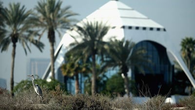DUBAI, UNITED ARAB EMIRATES - FEBRUARY 03: A crane is pictured on the eighth hole during the pro-am event prior to the Omega Dubai Desert Classic on the Majlis course at the Emirates Golf Club on February 3, 2016 in Dubai, United Arab Emirates. (Photo by Warren Little/Getty Images)