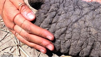 The Sussex Royal Instagram page released new images which show the Duchess of Sussex wearing her Hamsa Hand ring. Sussex Royal / Instagram