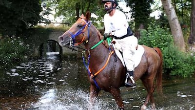 Sheikh Mohammed bin Rashid on Madji Du Pont during his successul World Endurance Championships ride