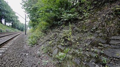 A regional governor in Poland said on Monday he had serious doubts about the alleged discovery days after a deputy culture minister revealed he was “more than 99 per cent sure” one had been found. AP Photo