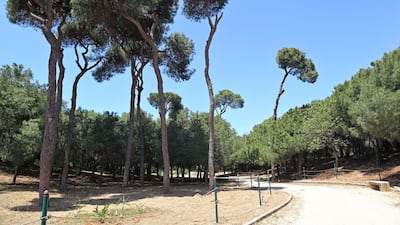 P3DFX0 Beirut Public Park (Horsh Beirut) - Lebanon