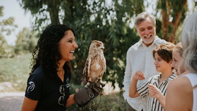 There are falcon demonstrations to keep children entertained