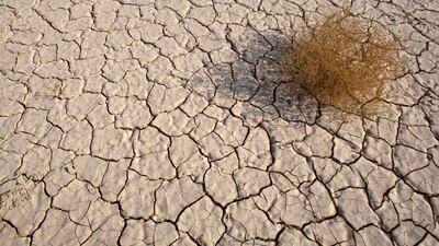 The Dead Sea in Jordan, for instance, is slowly but surely drying up and could be gone completely in 50 years if no action is taken. Reuters