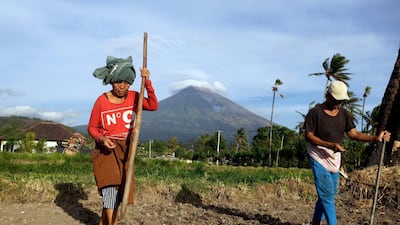Farmers work on their land with Mount Agung seen in the background in Karangasem, Bali, Indonesia. Firdia Lisnawati / AP Photo