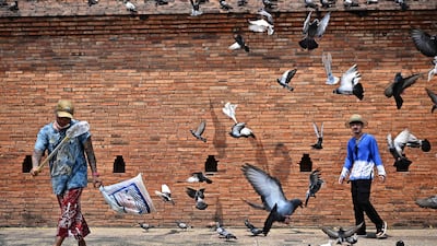 A tourist, right, poses near Ta Pae Gate for pictures as pigeons fly by in Chiang Mai. AFP