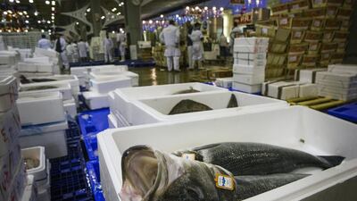Fish on display in the fish hall at Rungis, one of the seven main halls in the world's largest wholesale food market. Etienne Laurent / EPA
