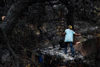 A man walks with a coil of electric cables through the charred remains of trees after a forest fire in Melloula, near the border with Algeria. AFP