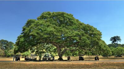 A vivid image by Christian Voight whose solo show opens tonight in Alserkal Avenue