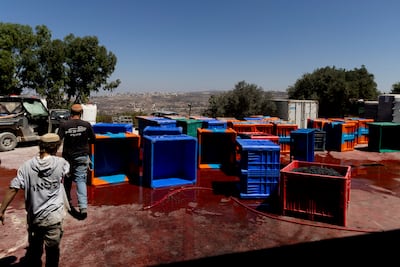 Jewish settlers at a winery in the West Bank. Getty Images