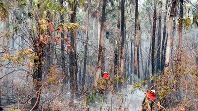Bolivian soldiers walk at a burnt area in Otuquis National Park, in the Pantanal ecoregion of southeastern Bolivia, on August 26, 2019. Like his far right rival President Jair Bolsonaro in neigboring Brazil, Bolivia's leftist leader Evo Morales is facing mounting fury from environmental groups over voracious wildfires in his own country. While the Amazon blazes have attracted worldwide attention, the blazes in Bolivia have raged largely unchecked over the past month, devastating more than 9,500 square kilometers (3,600 square miles) of forest and grassland. / AFP / Aizar RALDES