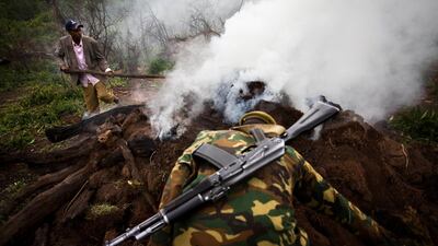 Kenya Wildlife Service rangers try to destroy a illegal charcoal kilm.