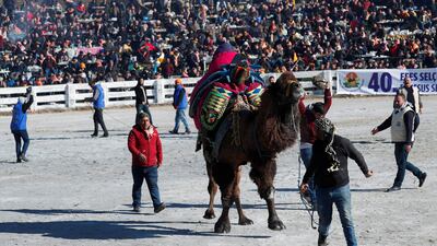 Animal rights activists have criticised the festival, saying animals are abused and injured during the event.