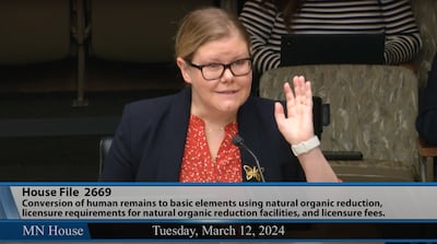 Taelor Johnson testifies in front of the Minnesota House of Representatives. Photo: YouTube / MNHouseInfo